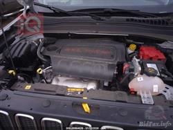 جيب رينيجيد